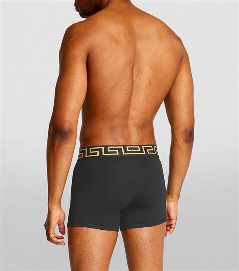 versace boxer|Versace boxer trunks.